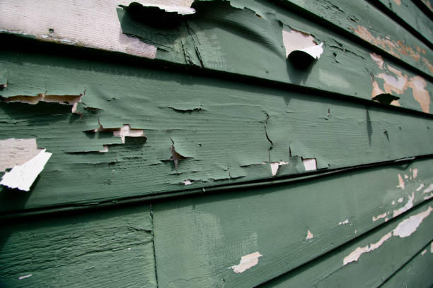 Best Garage Cleanout  in Mayflower Village, CA